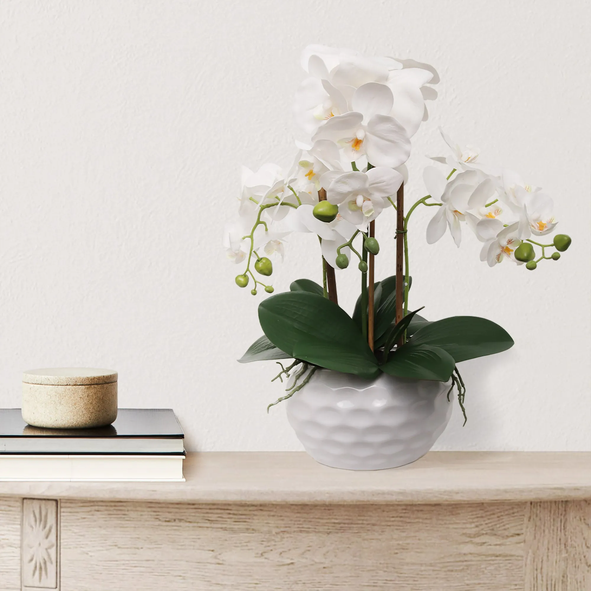 19" White Phalaenopsis Orchid Flowers in Dimple White Pot