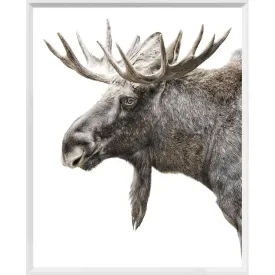 Algonquin Moose Wall Art