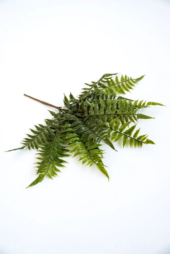 Artificial fern bush, greenery bush soft touch