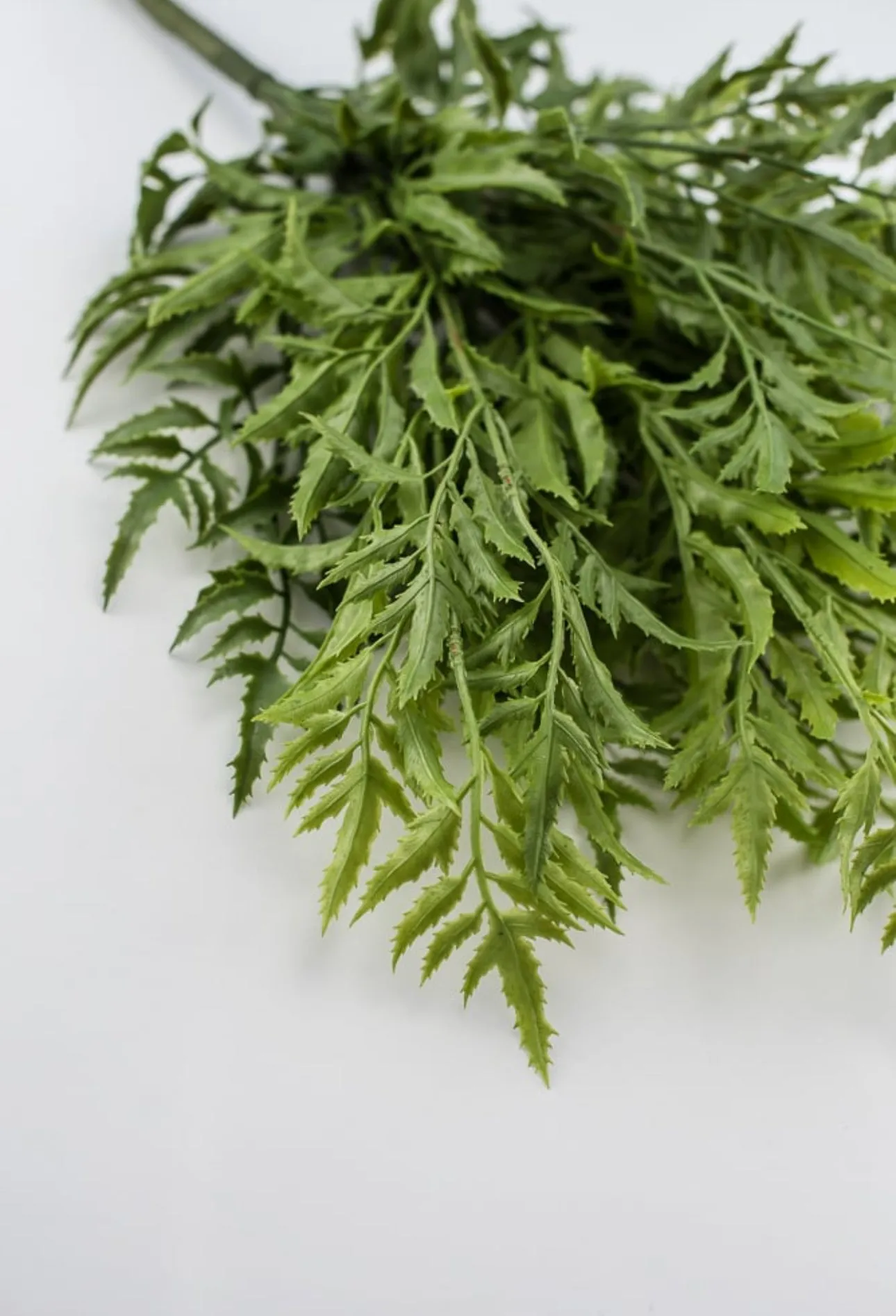 Artificial fern bush - soft touch