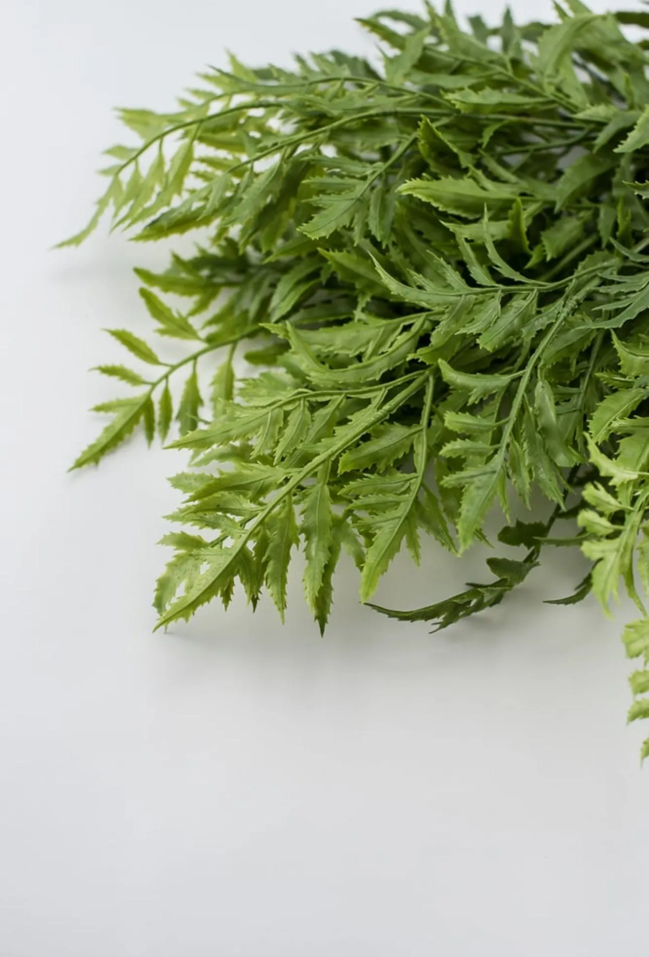 Artificial fern bush - soft touch