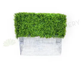 Artificial Hedge (made-to-order) 40 45cm H x 38cm W x 92cm L (Ref: Lloyd H)