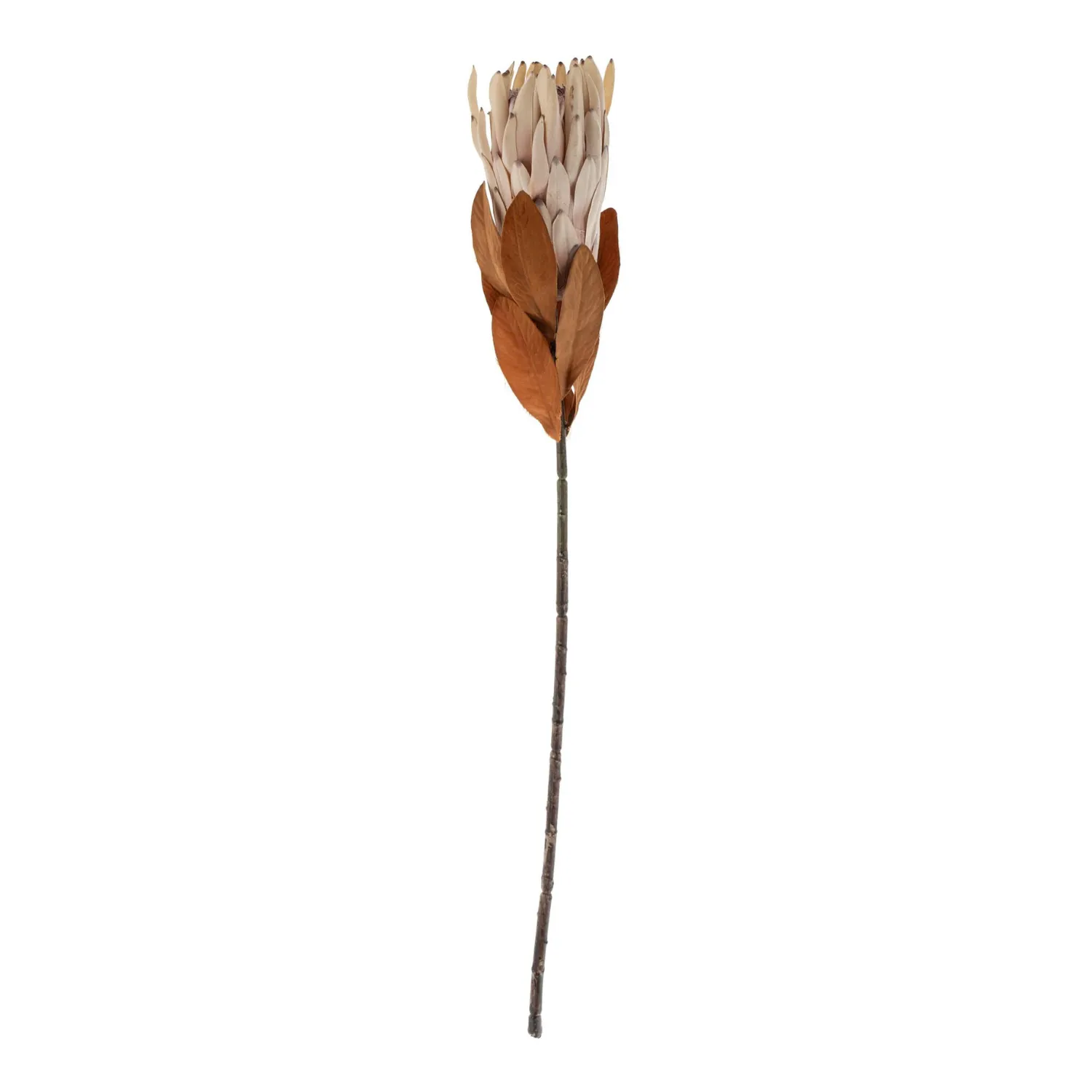 Artificial Protea Sprig