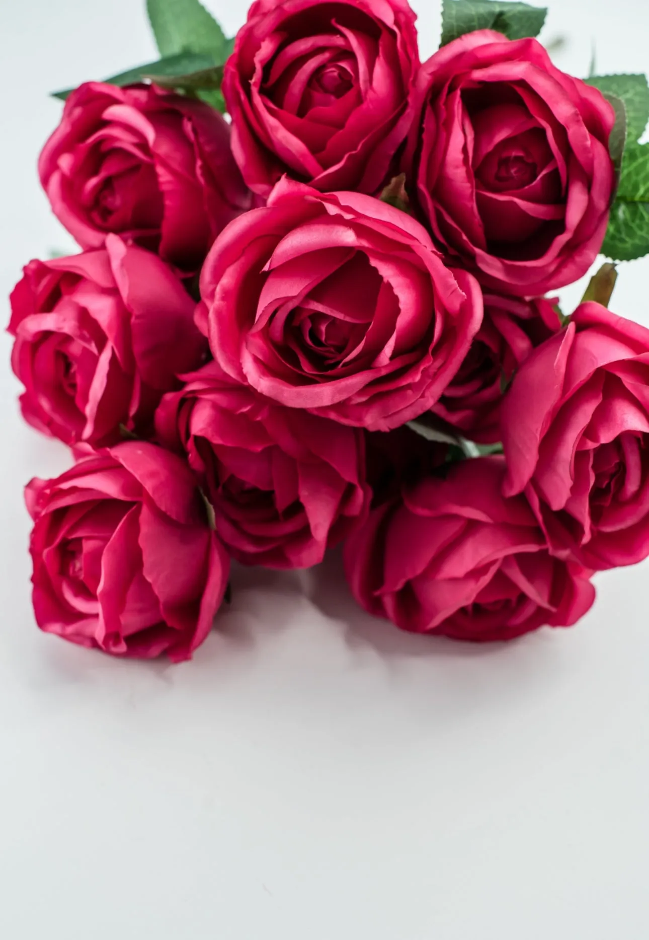 Artificial Roses - watermelon fuchsia pink