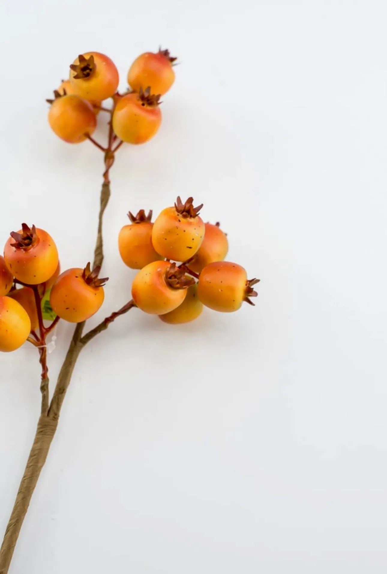 Autumn crabapple berry pick