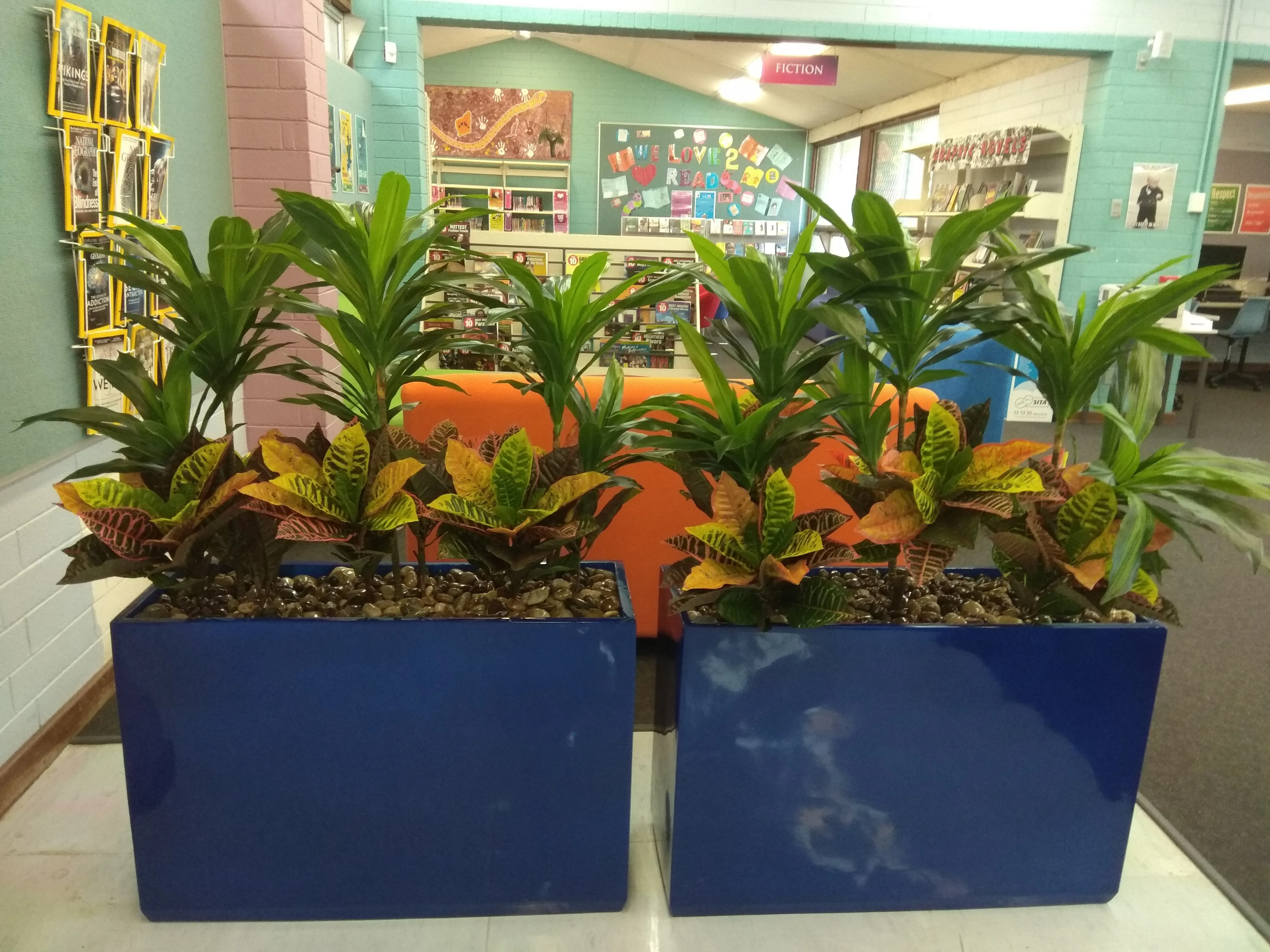 Balga Senior High School - Artificial Plants and Planter Boxes