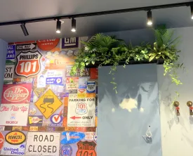 Burger 101 Rockingham - Artificial Plants for Display / Shelves