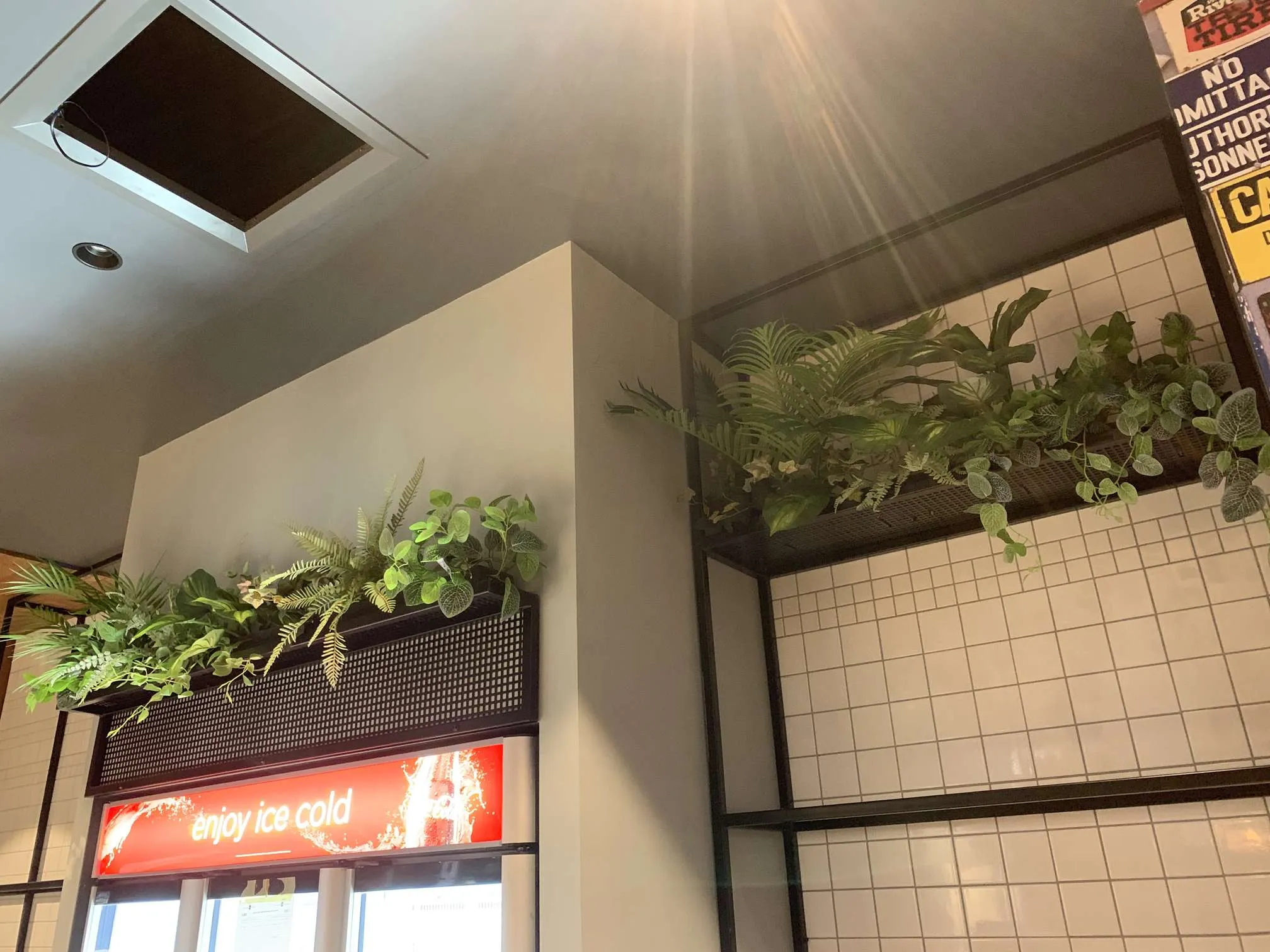 Burger 101 Rockingham - Artificial Plants for Display / Shelves