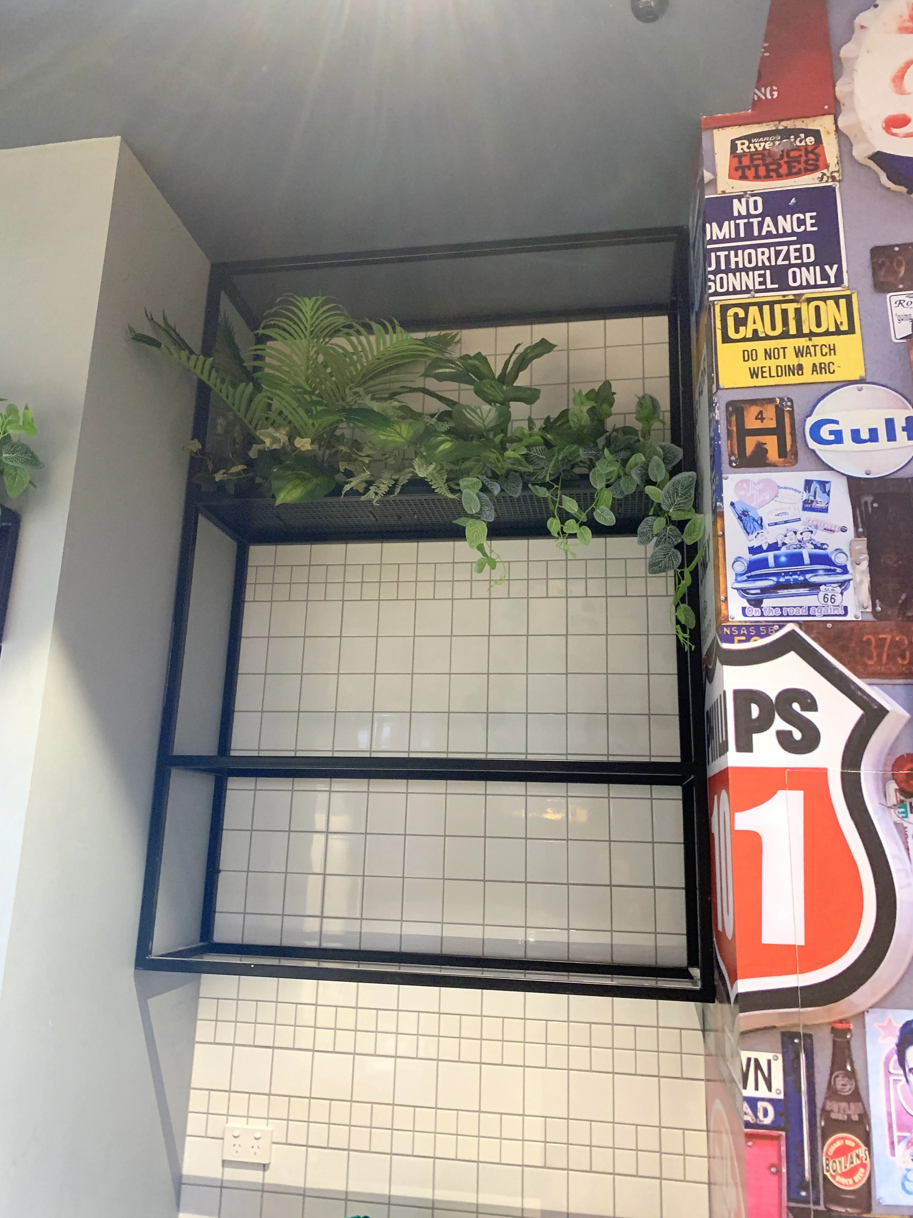 Burger 101 Rockingham - Artificial Plants for Display / Shelves