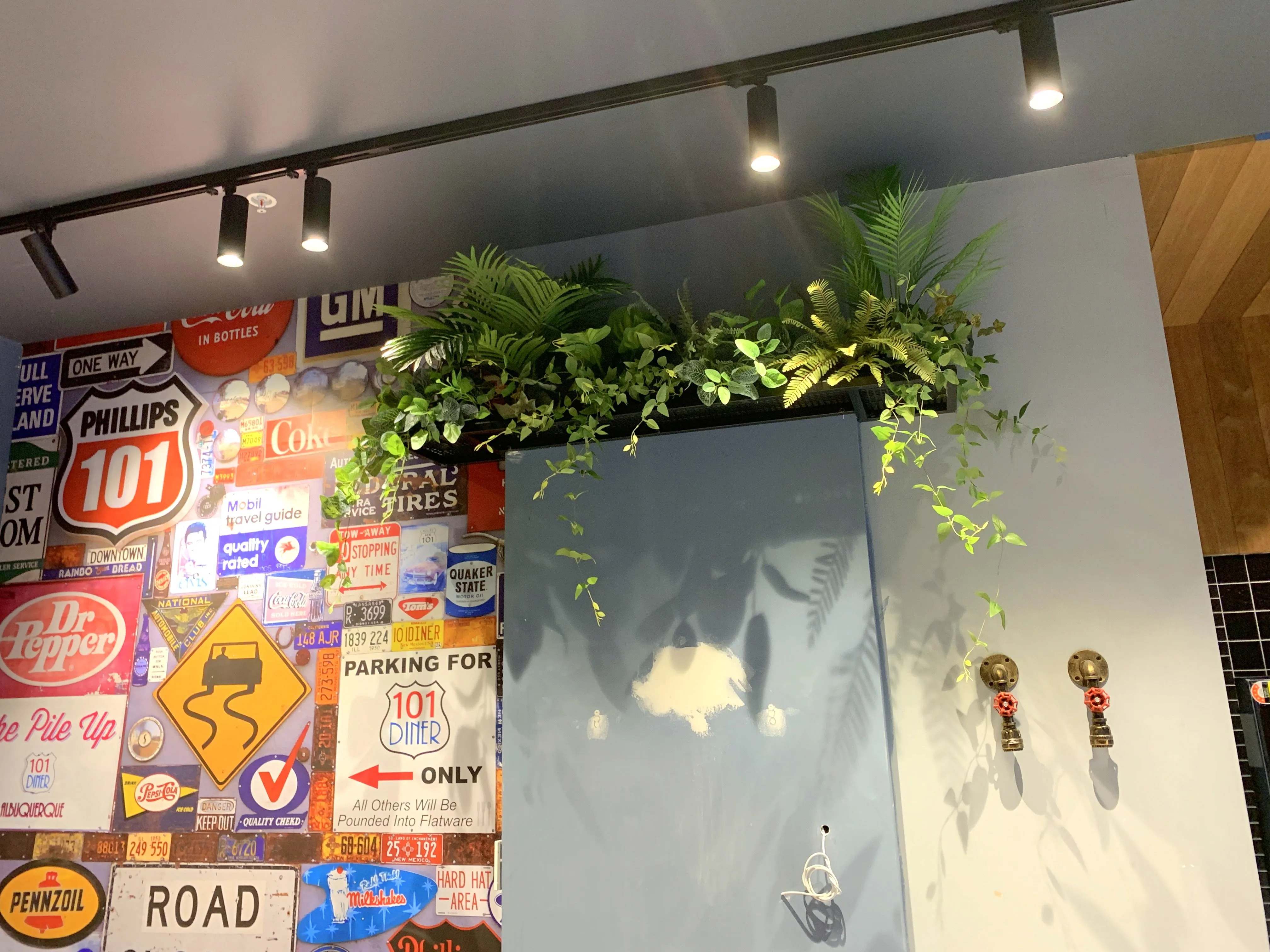 Burger 101 Rockingham - Artificial Plants for Display / Shelves