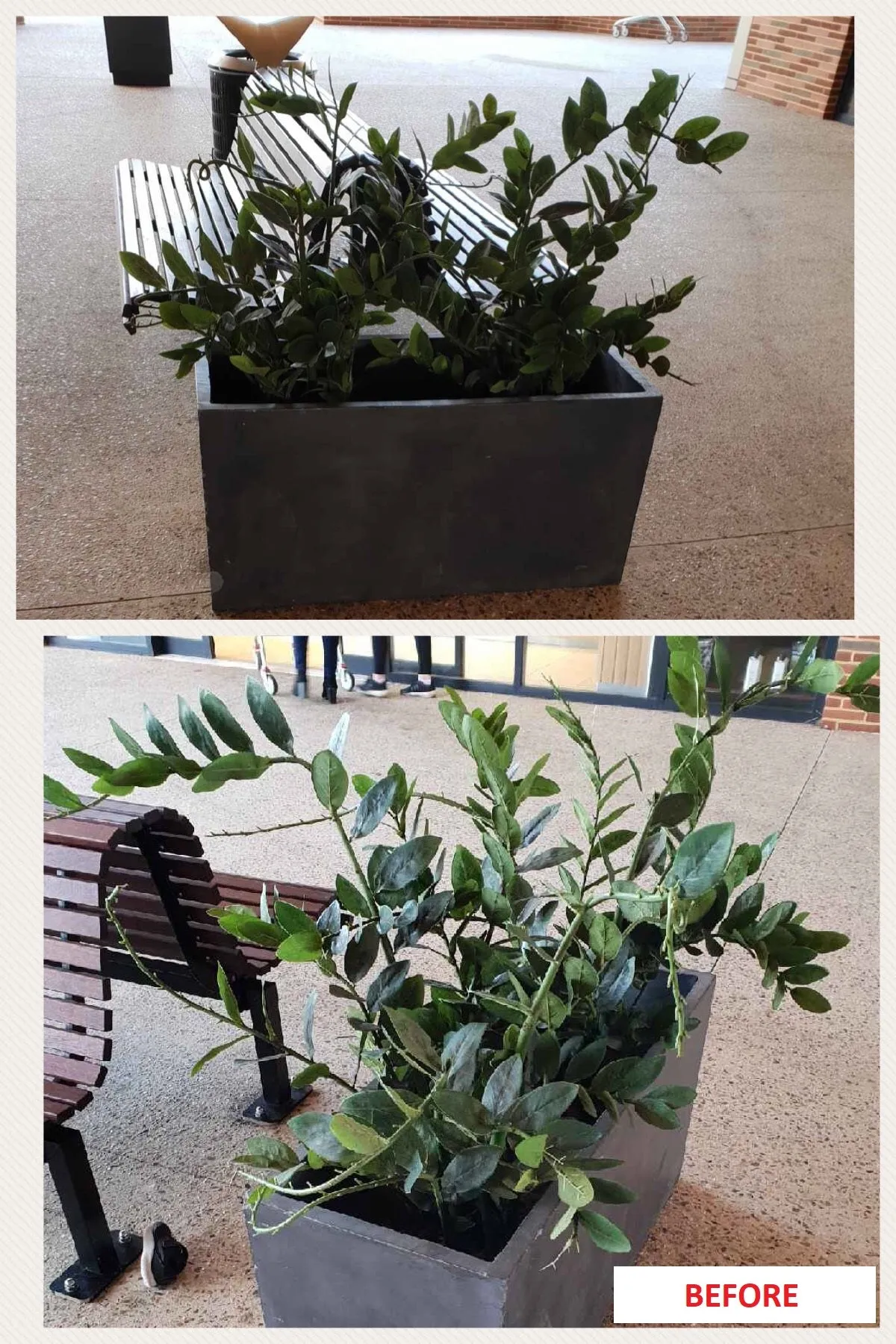 Byford Village Shopping Centre - Supply Artificial Plants in Planter Boxes