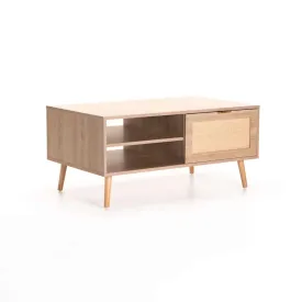 DEWI 100x60cm COFFEE TABLE