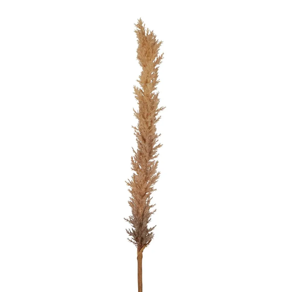 Dried Astilbe Spray Brown