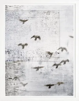 Flock Formation Wall Art