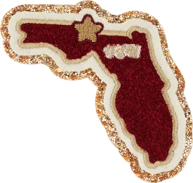 Florida State University Patch