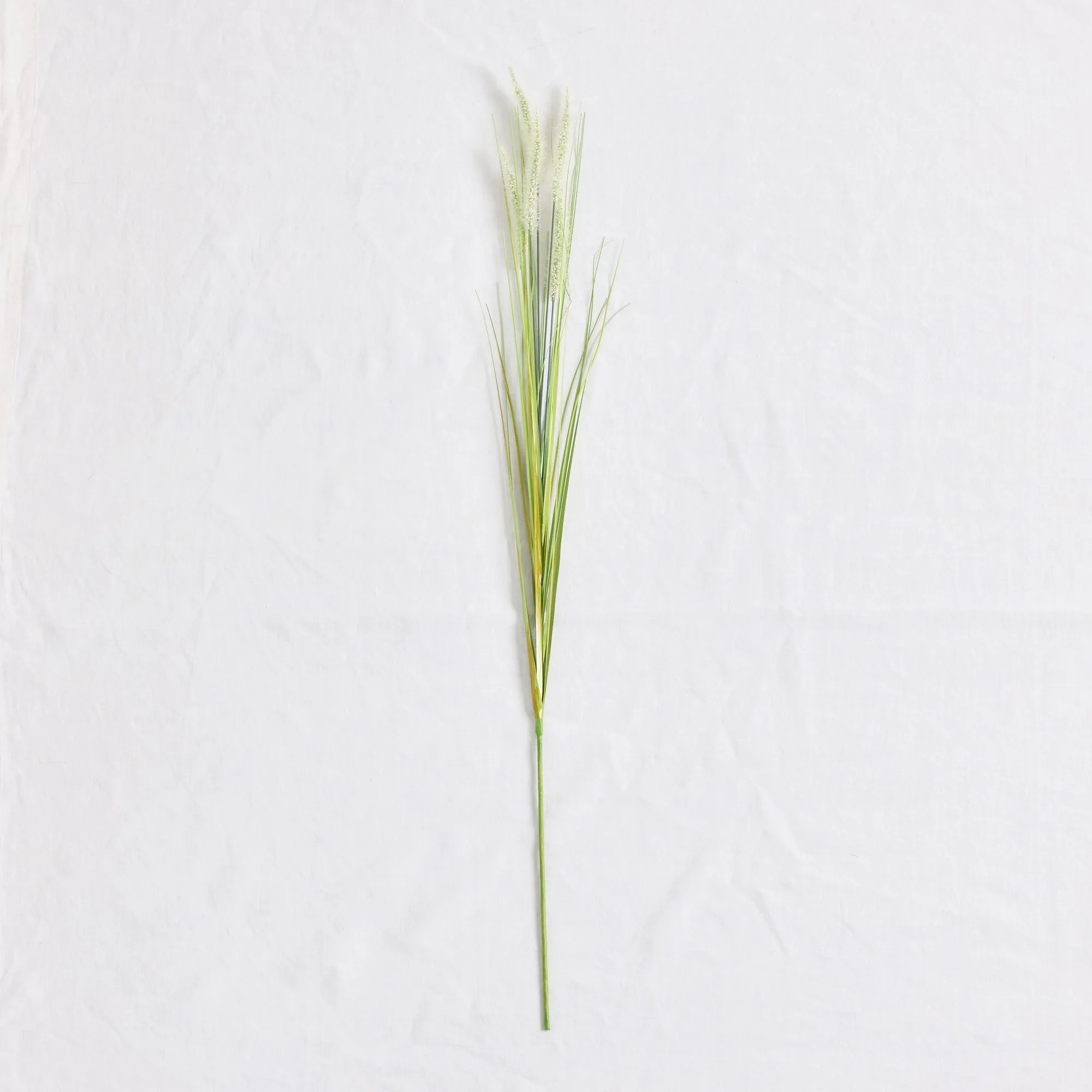 Fountain Grass Stem - White