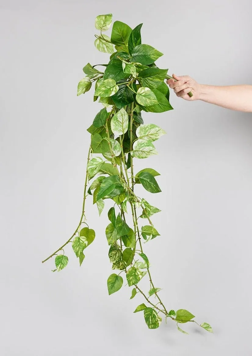 Natural Touch Pothos Artificial Plant - 48"