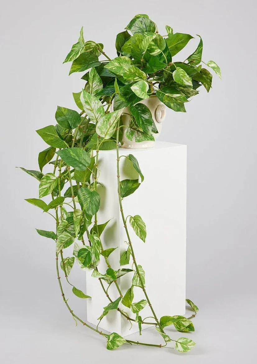 Natural Touch Pothos Artificial Plant - 48"