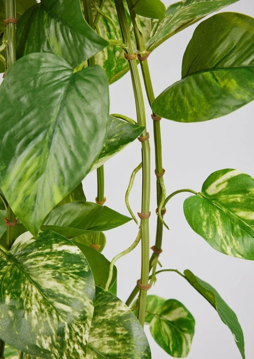 Natural Touch Pothos Artificial Plant - 48"