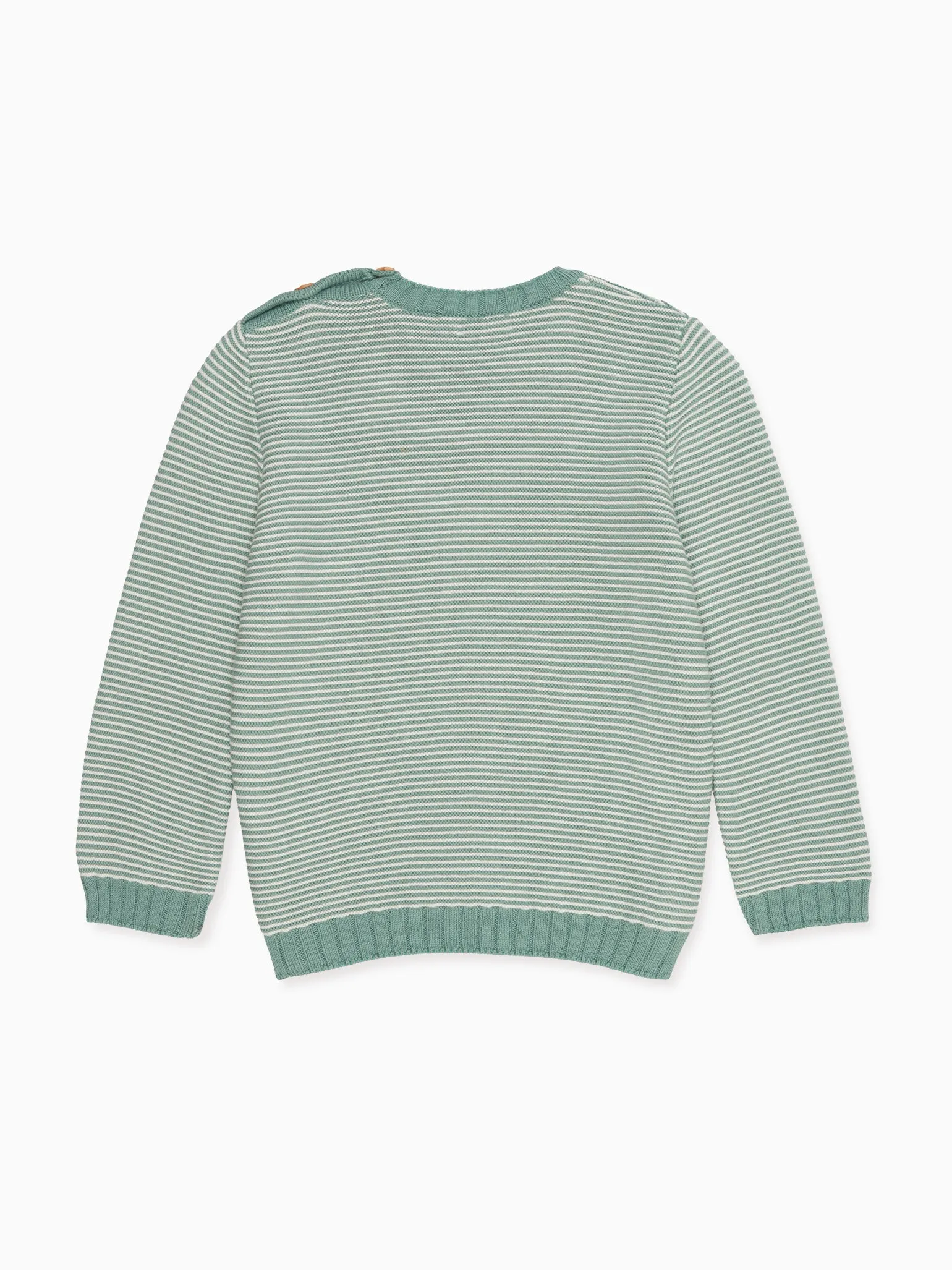 Sage Green Bromo Boy Cotton Jumper